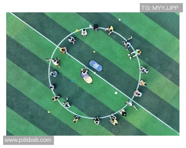 飞盘热潮下的战术博弈北京飞盘队引发的战术争议与思考MBA