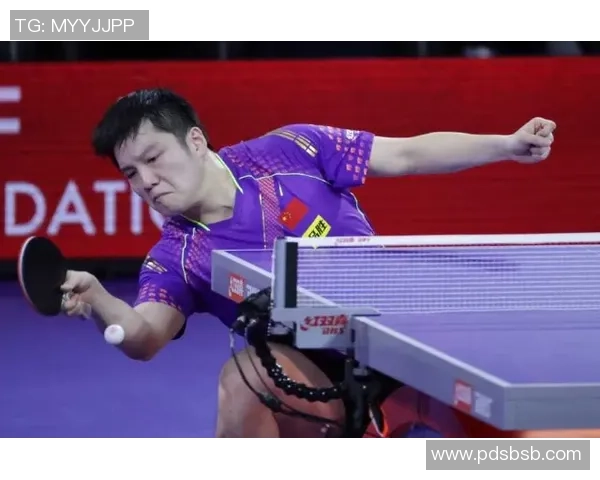 对话乒乓球名将王磊回顾辉煌生涯与未来展望