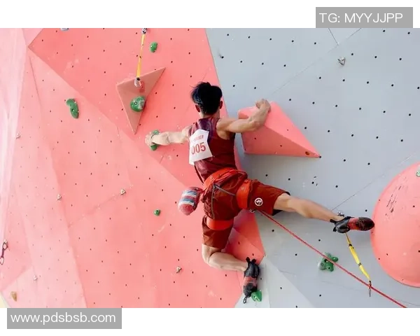 杭州攀岩队在全国攀岩意识排行榜中荣获第五名的佳绩引发关注MBA