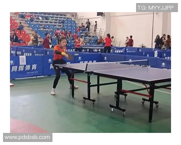 西安乒乓球队区域防守策略分析与比赛表现评估