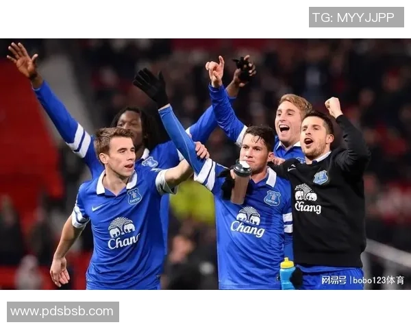 莱斯特城与埃弗顿精彩对决全场录像回放及精彩瞬间解析
