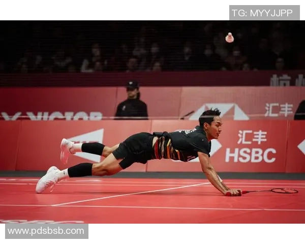 深圳网球队创历史新高网球耐力排名引发广泛关注与讨论